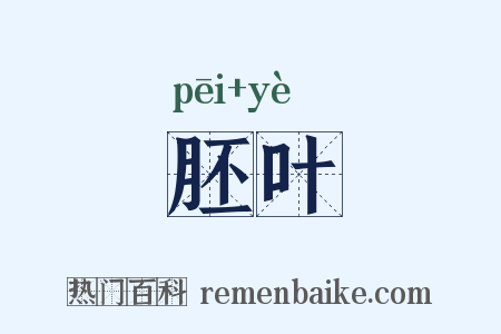 胚叶是什么意思的图片